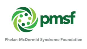 LOGO PMSF