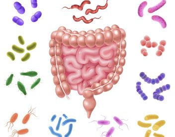 microbiota intestinale